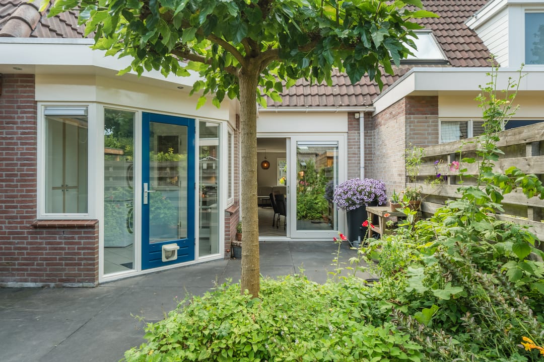 Foto 53 van Lisdodde 6