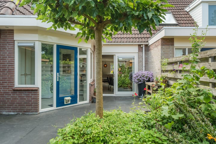 Foto 53 van Lisdodde 6