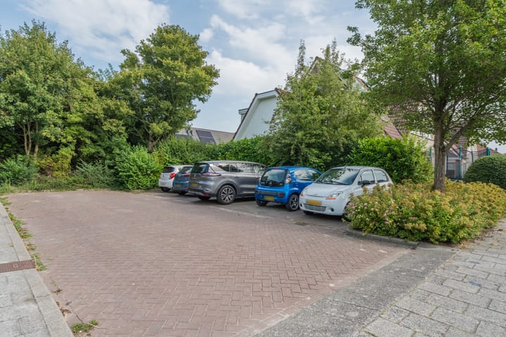 Foto 55 van Lisdodde 6