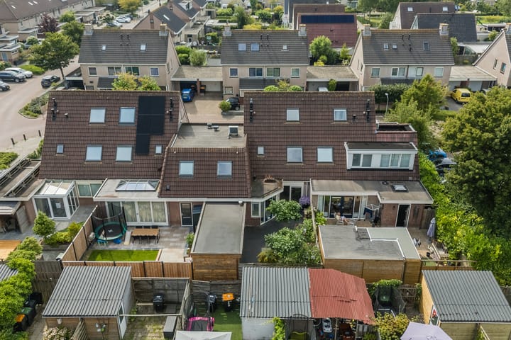 Foto 57 van Lisdodde 6