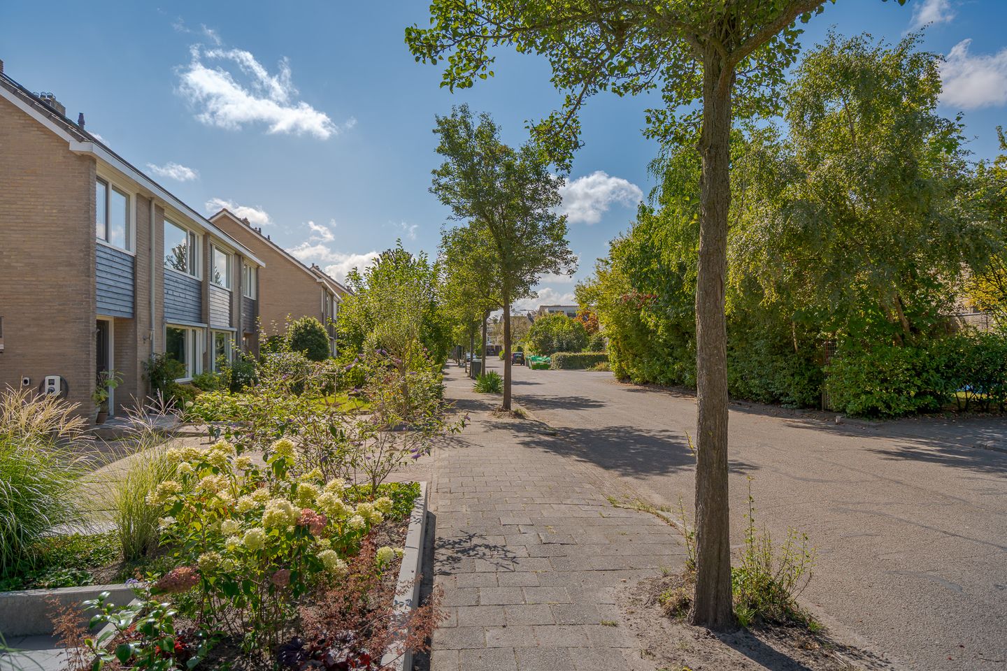 Foto 5 van Ravelstraat 42