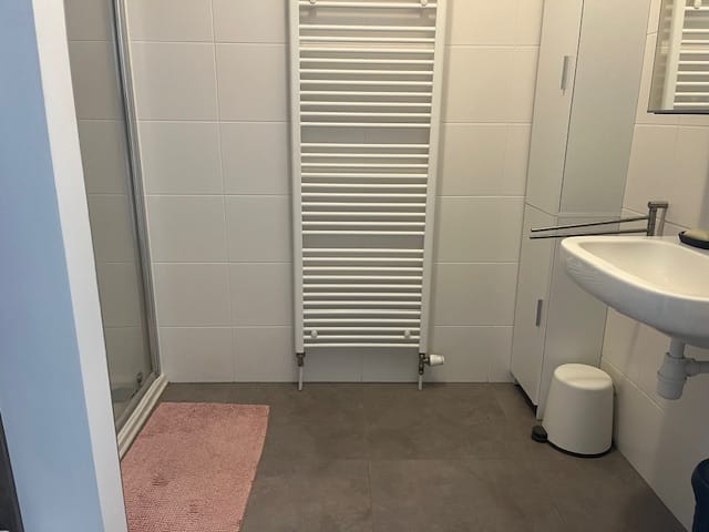 Foto 11 van Westdam 1-B