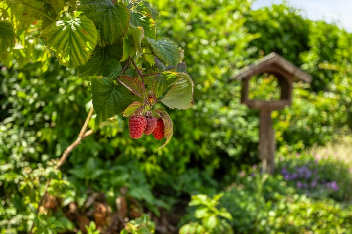 Foto 35 van Eemstraat 9