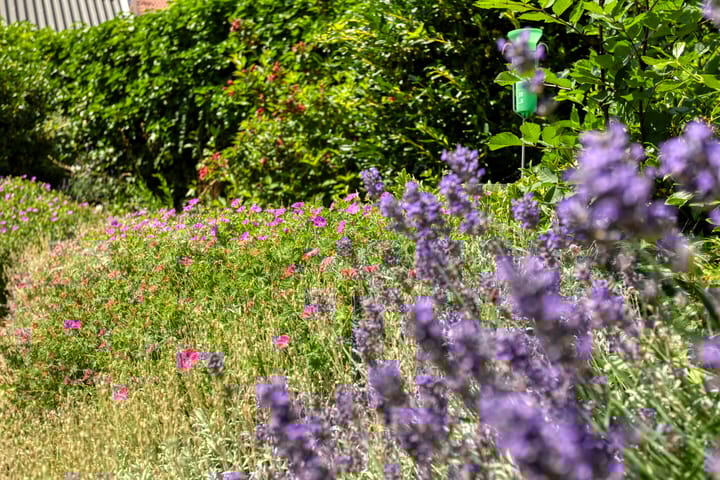 Foto 36 van Eemstraat 9