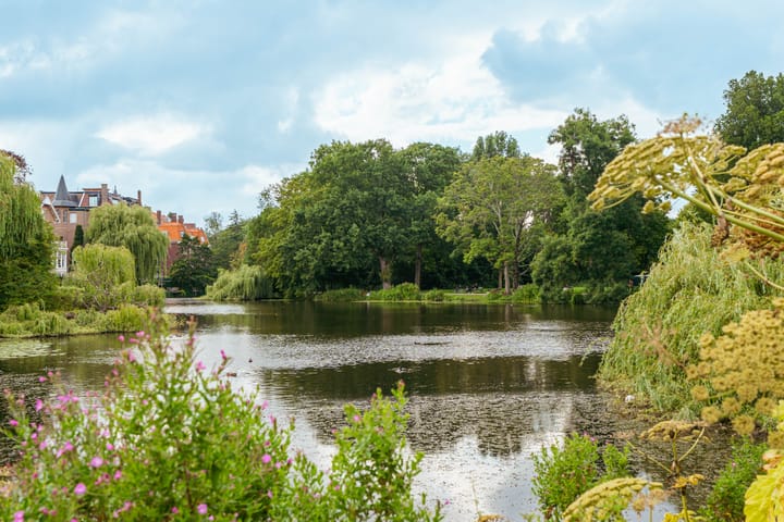 Foto 41 van Prins Hendriklaan 14-A