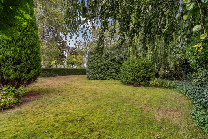 Foto 3 van Blauwe Akelei 1