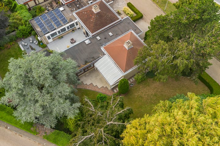 Foto 4 van Blauwe Akelei 1