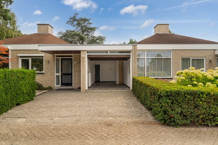 Foto 5 van Blauwe Akelei 1