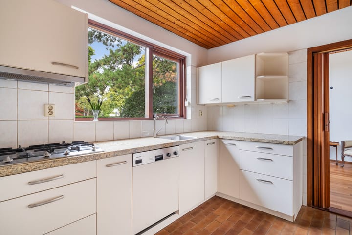 Foto 14 van Blauwe Akelei 1