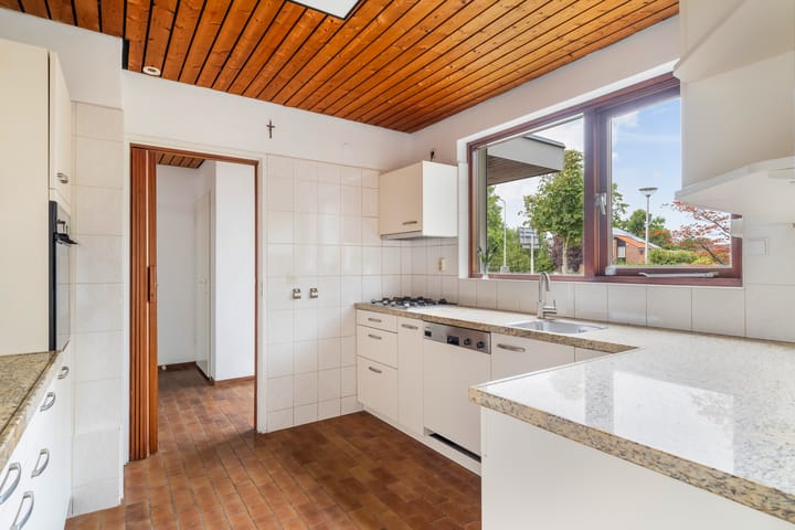 Foto 13 van Blauwe Akelei 1