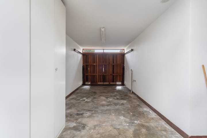 Foto 35 van Blauwe Akelei 1