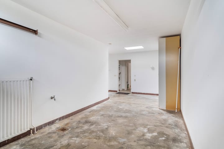 Foto 36 van Blauwe Akelei 1