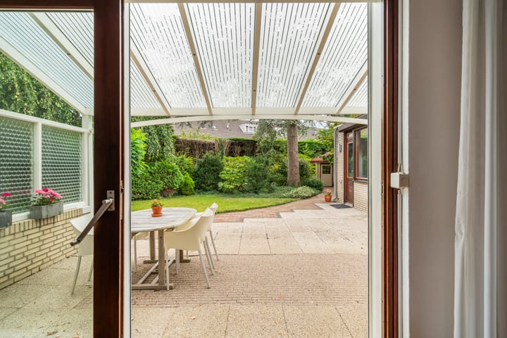 Foto 38 van Blauwe Akelei 1