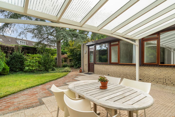 Foto 39 van Blauwe Akelei 1