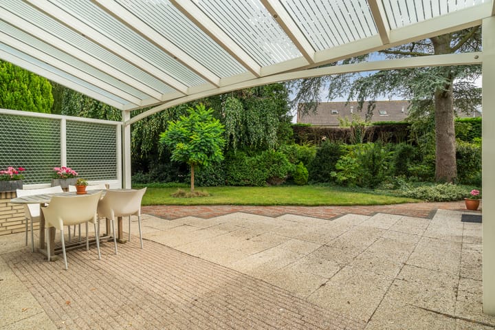 Foto 40 van Blauwe Akelei 1