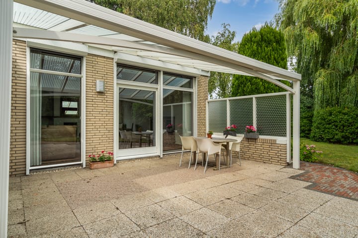 Foto 41 van Blauwe Akelei 1