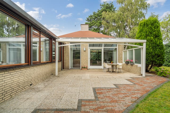 Foto 42 van Blauwe Akelei 1