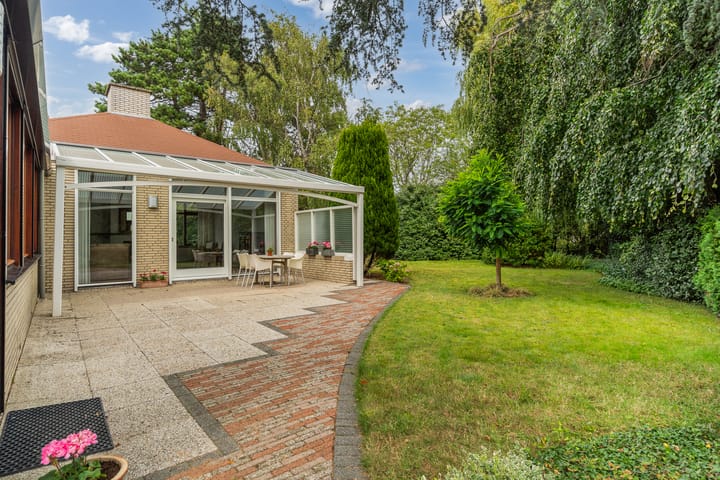 Foto 43 van Blauwe Akelei 1