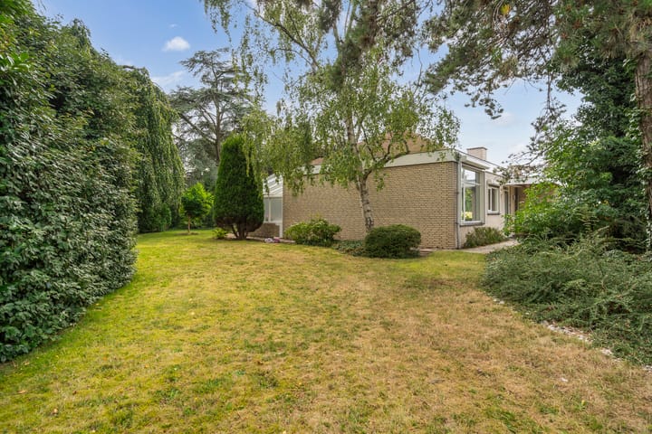 Foto 44 van Blauwe Akelei 1