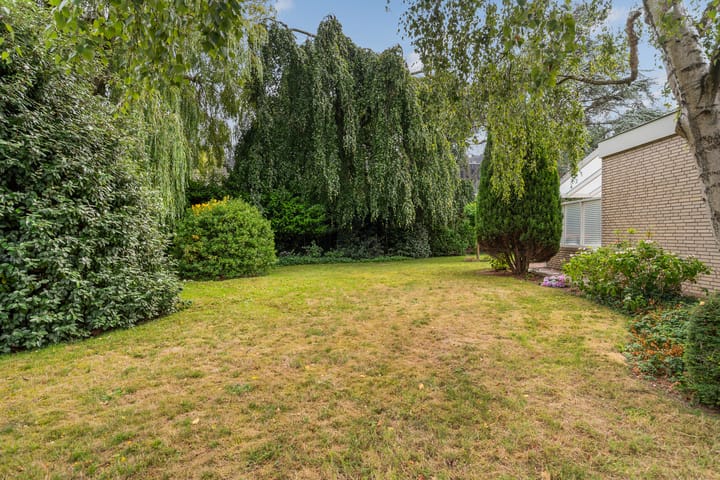 Foto 45 van Blauwe Akelei 1