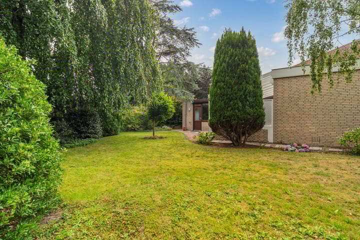 Foto 46 van Blauwe Akelei 1