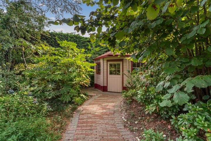 Foto 49 van Blauwe Akelei 1