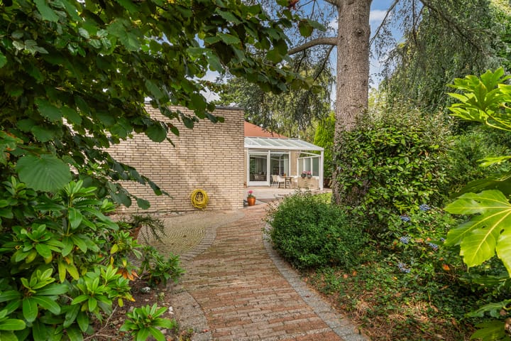 Foto 50 van Blauwe Akelei 1