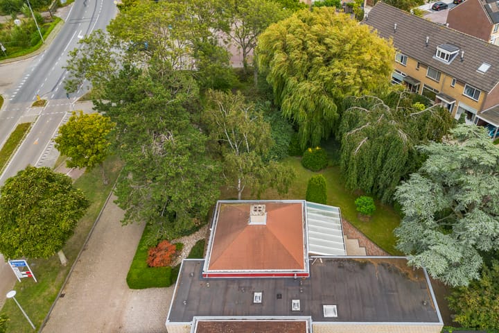 Foto 51 van Blauwe Akelei 1