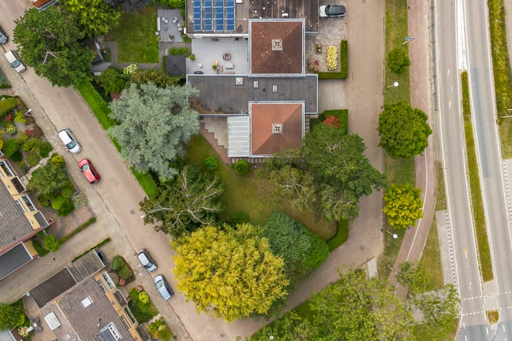 Foto 52 van Blauwe Akelei 1