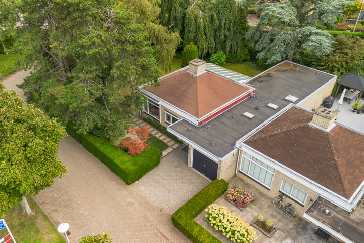 Foto 53 van Blauwe Akelei 1