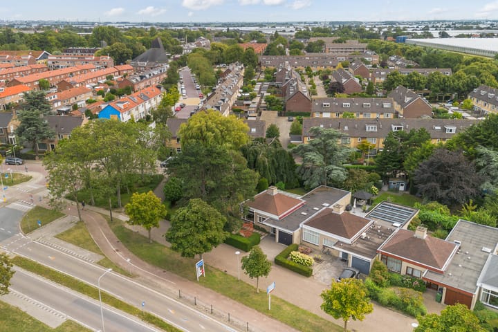 Foto 54 van Blauwe Akelei 1