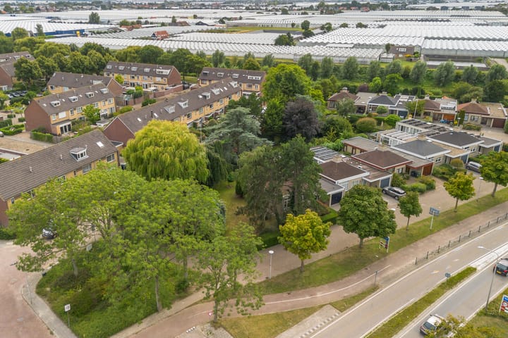 Foto 55 van Blauwe Akelei 1