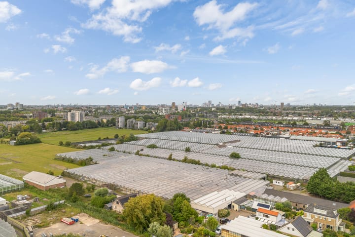 Foto 56 van Blauwe Akelei 1