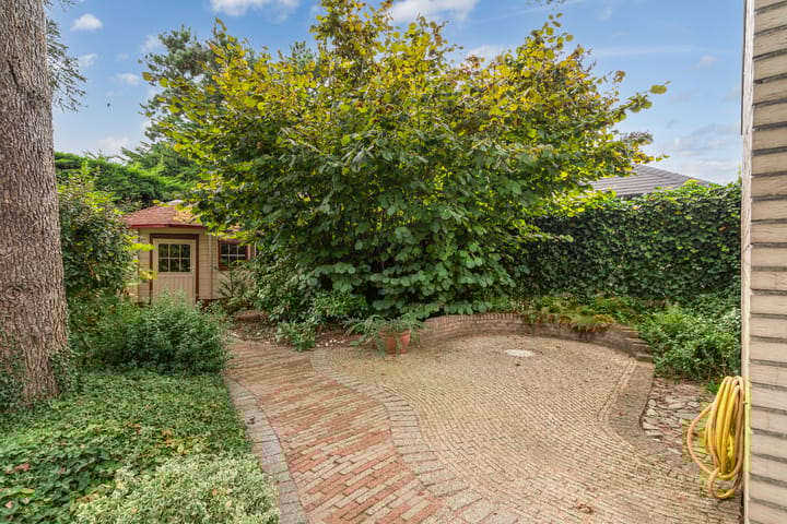 Foto 48 van Blauwe Akelei 1