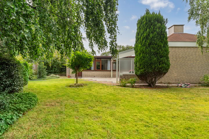 Foto 47 van Blauwe Akelei 1