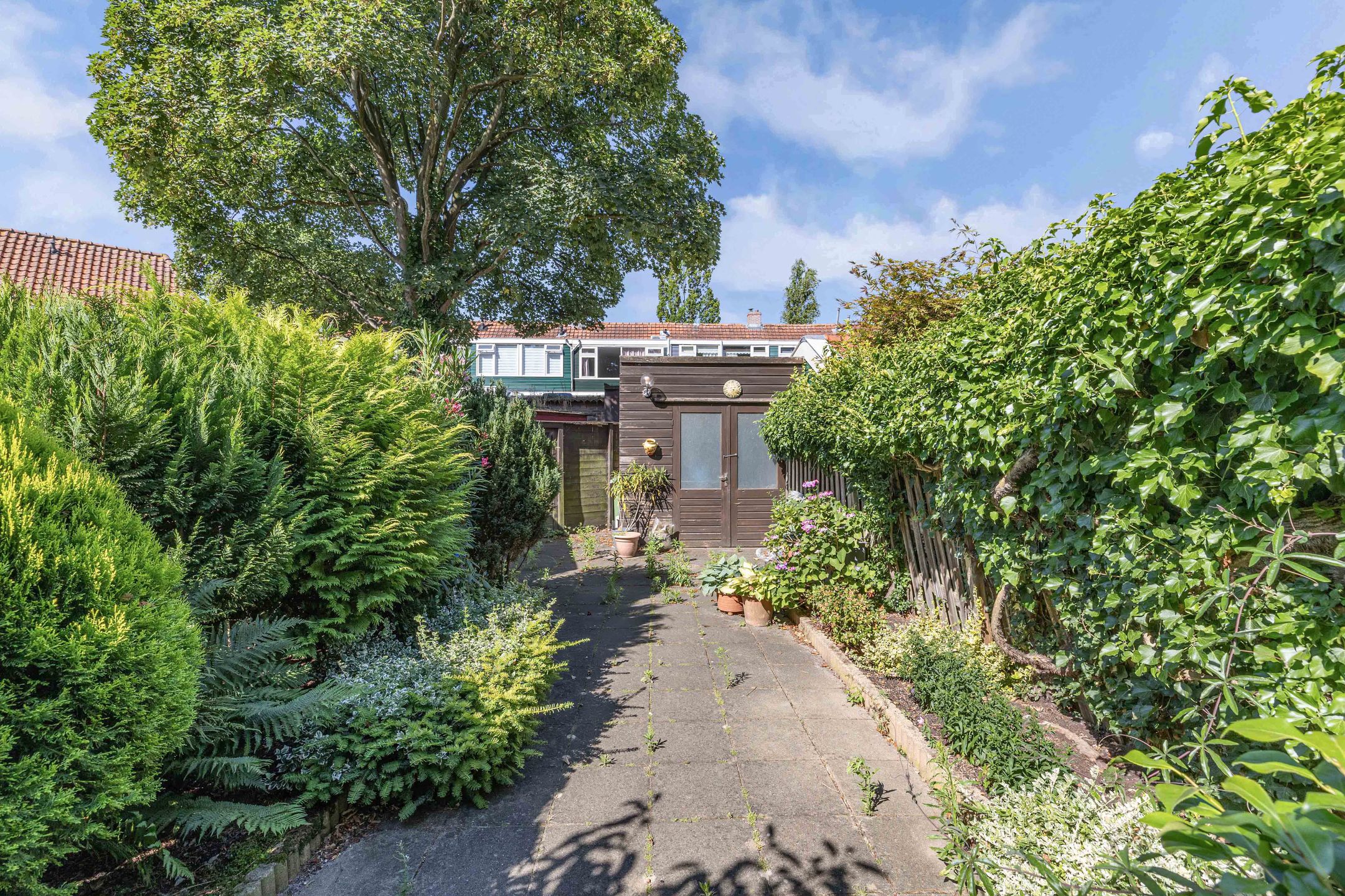 Foto 18 van Burgemeester Ter Laanplantsoen 3