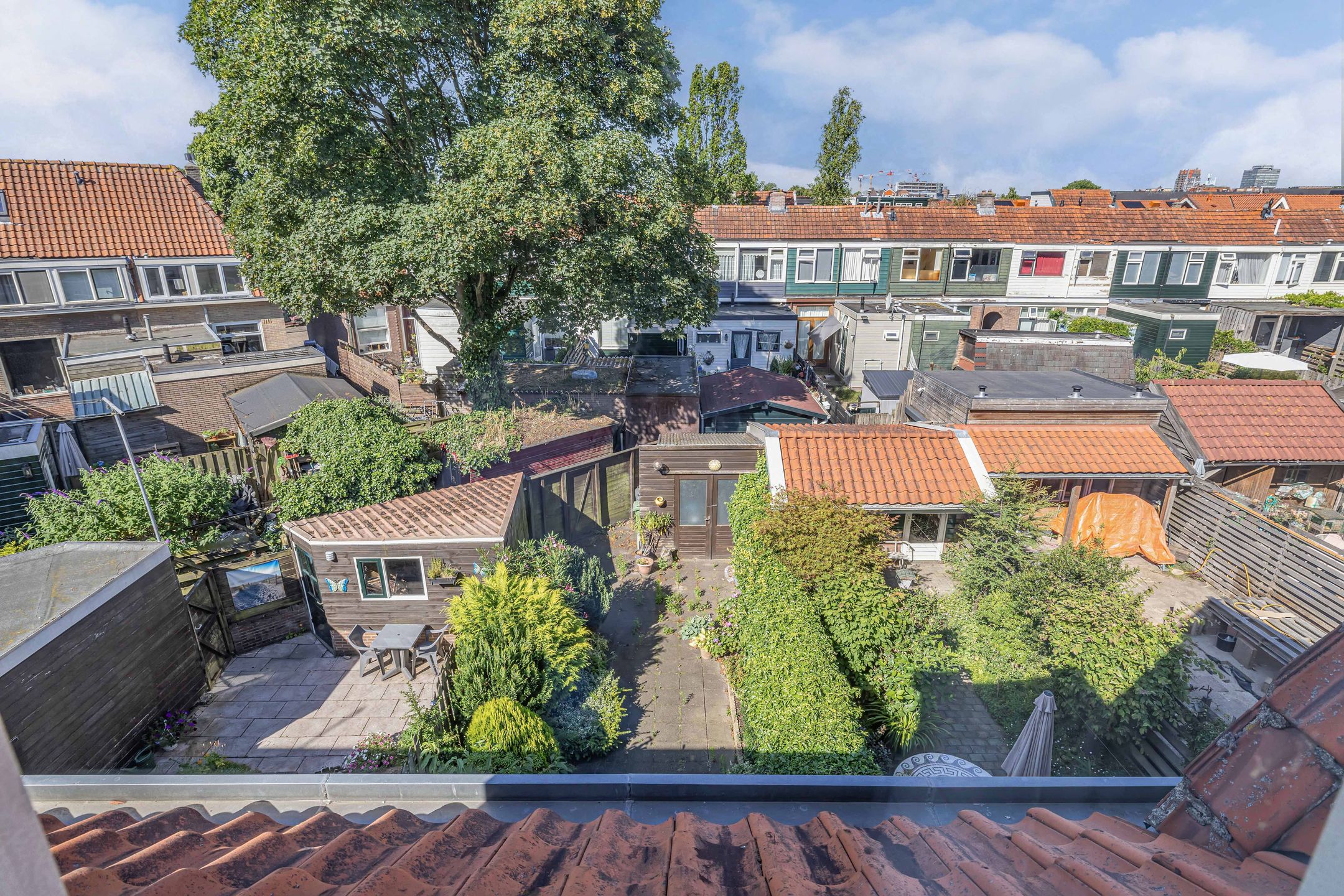 Foto 27 van Burgemeester Ter Laanplantsoen 3