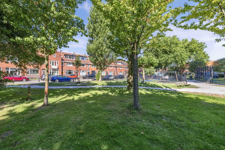 Foto 29 van Burgemeester Ter Laanplantsoen 3