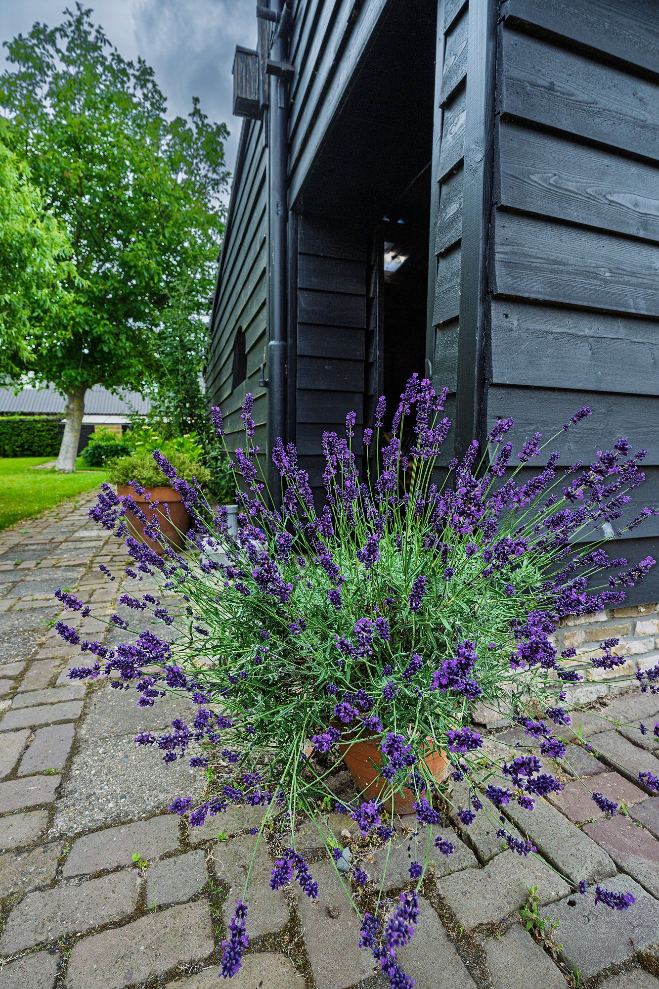 Foto 59 van Doeldijk 22-C