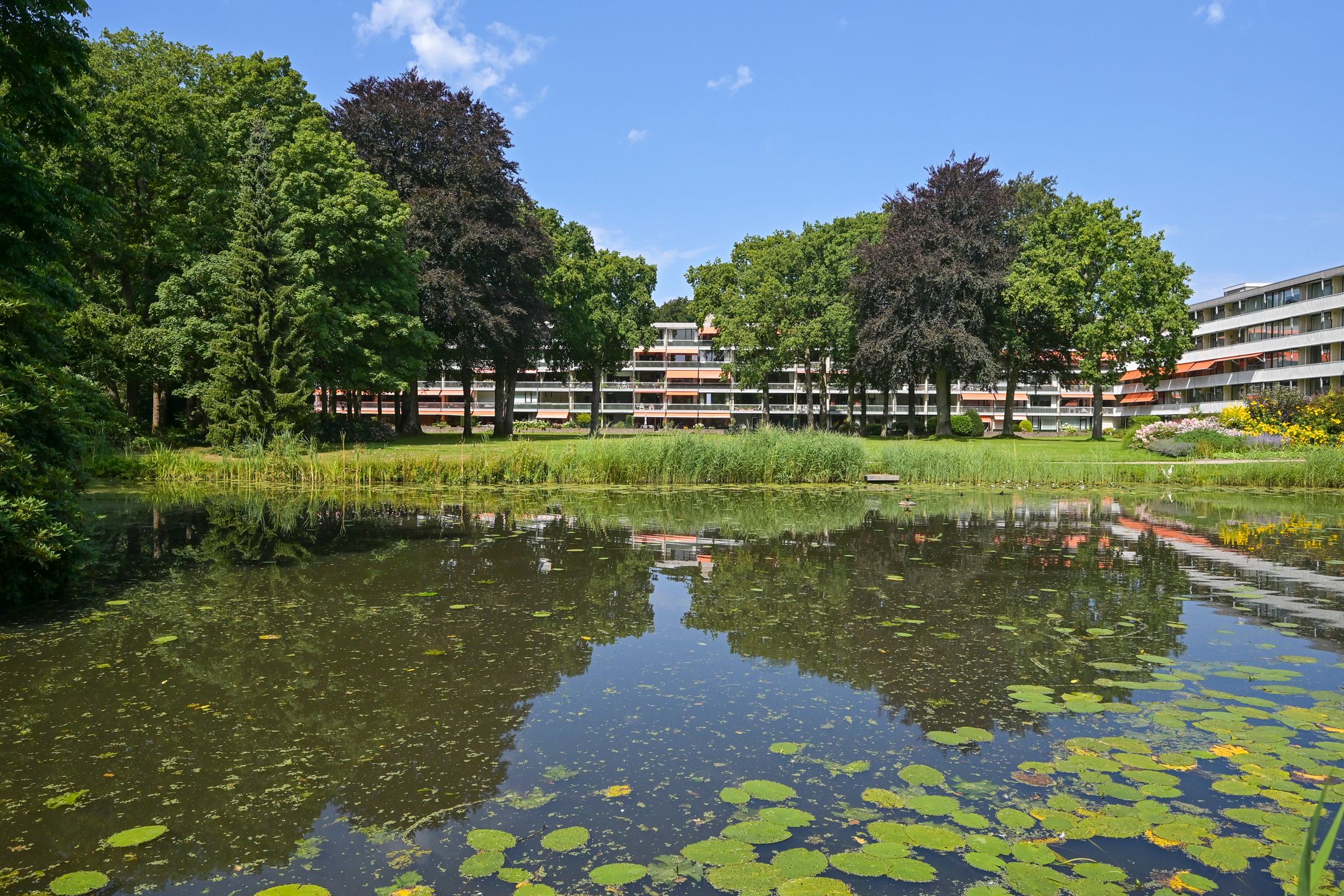 Photo 3 of Stoeplaan 11-F34