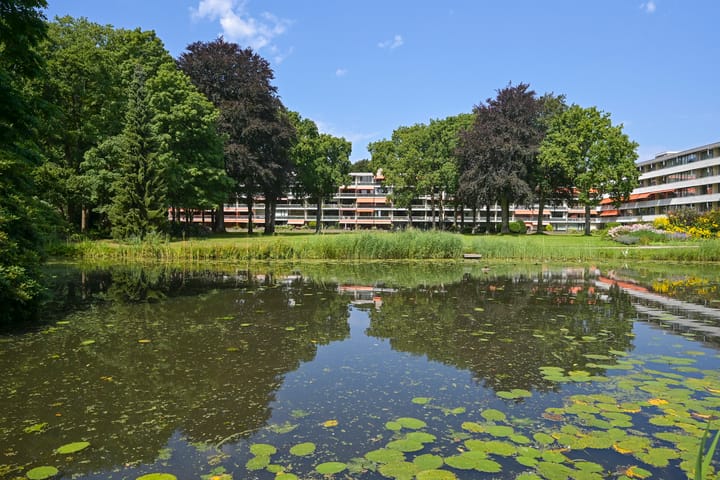 Foto 3 van Stoeplaan 11-F34