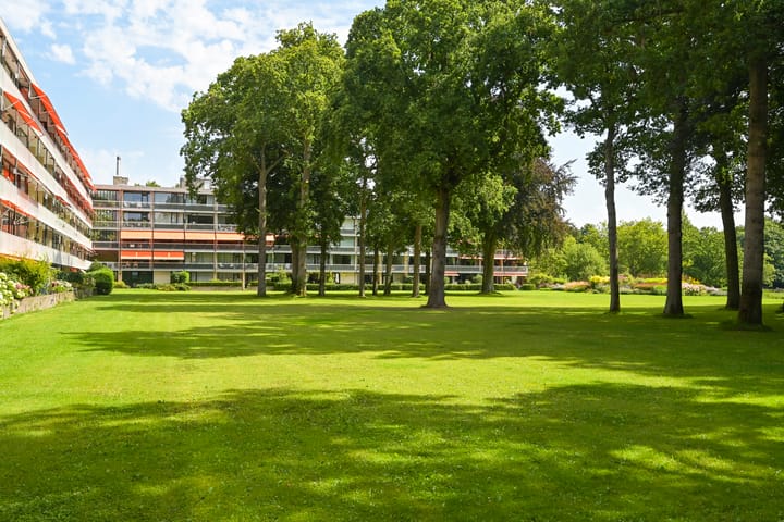 Foto 10 van Stoeplaan 11-F34