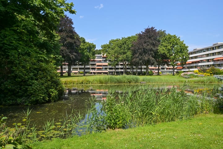 Foto 18 van Stoeplaan 11-F34