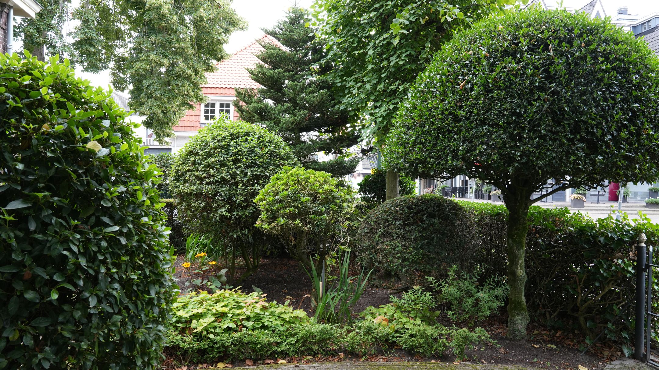 Foto 24 van Klaaskampen 5