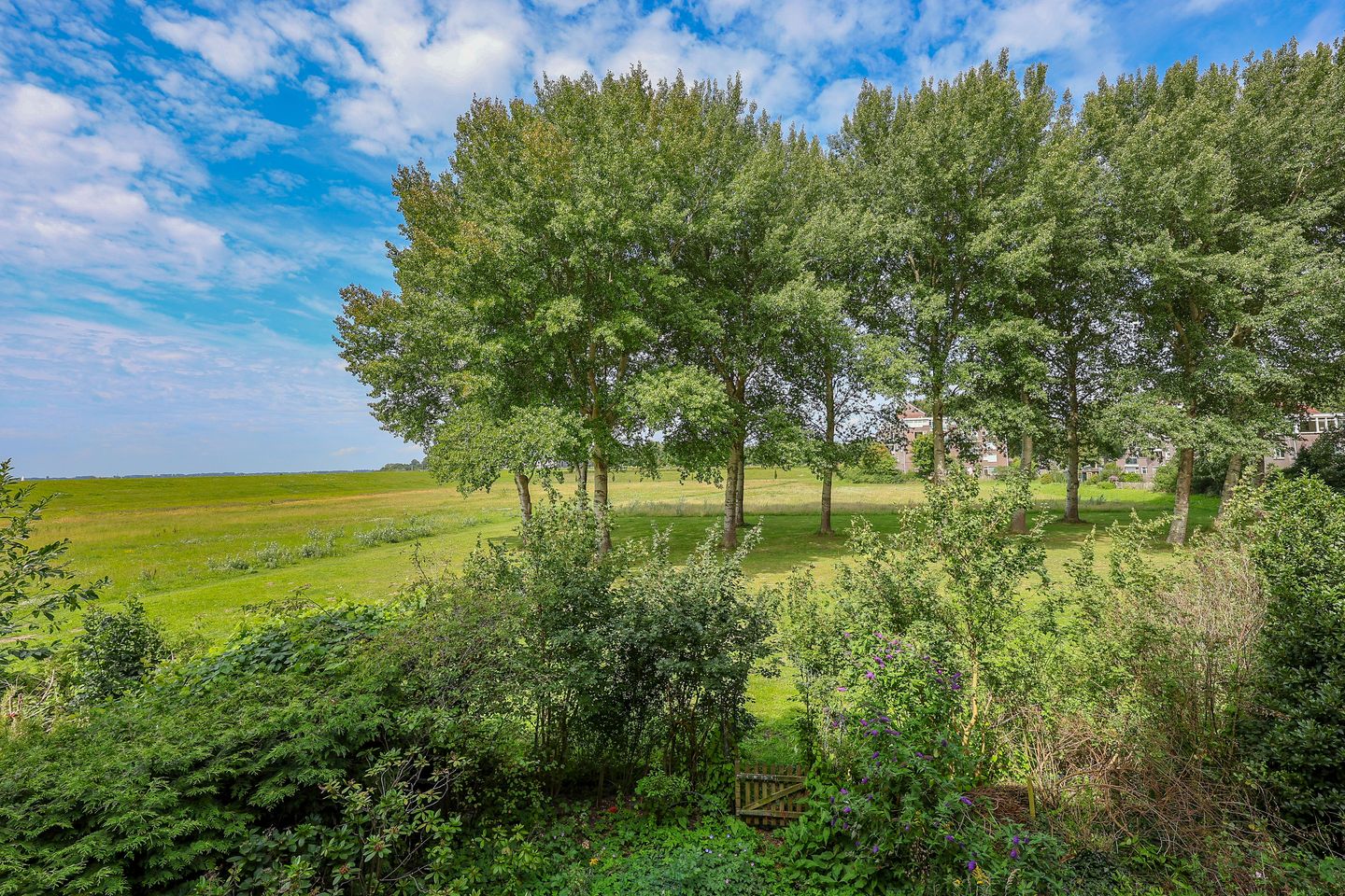 Photo 10 of Dijkmeent 51