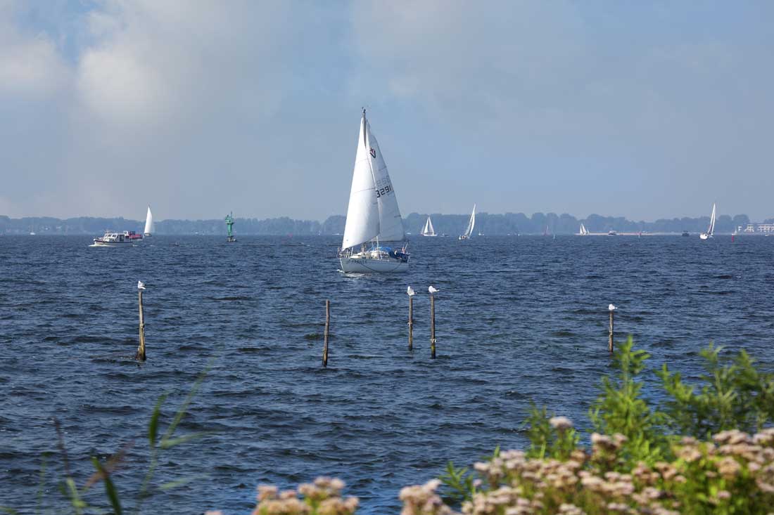 Photo 42 of Dijkmeent 51