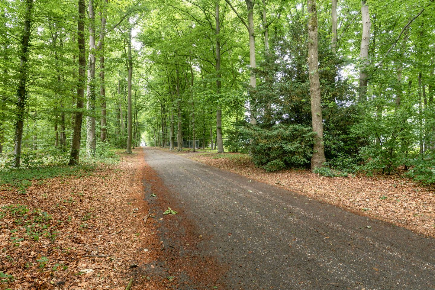 Foto 29 van Nieuwe Mollenhutseweg 9