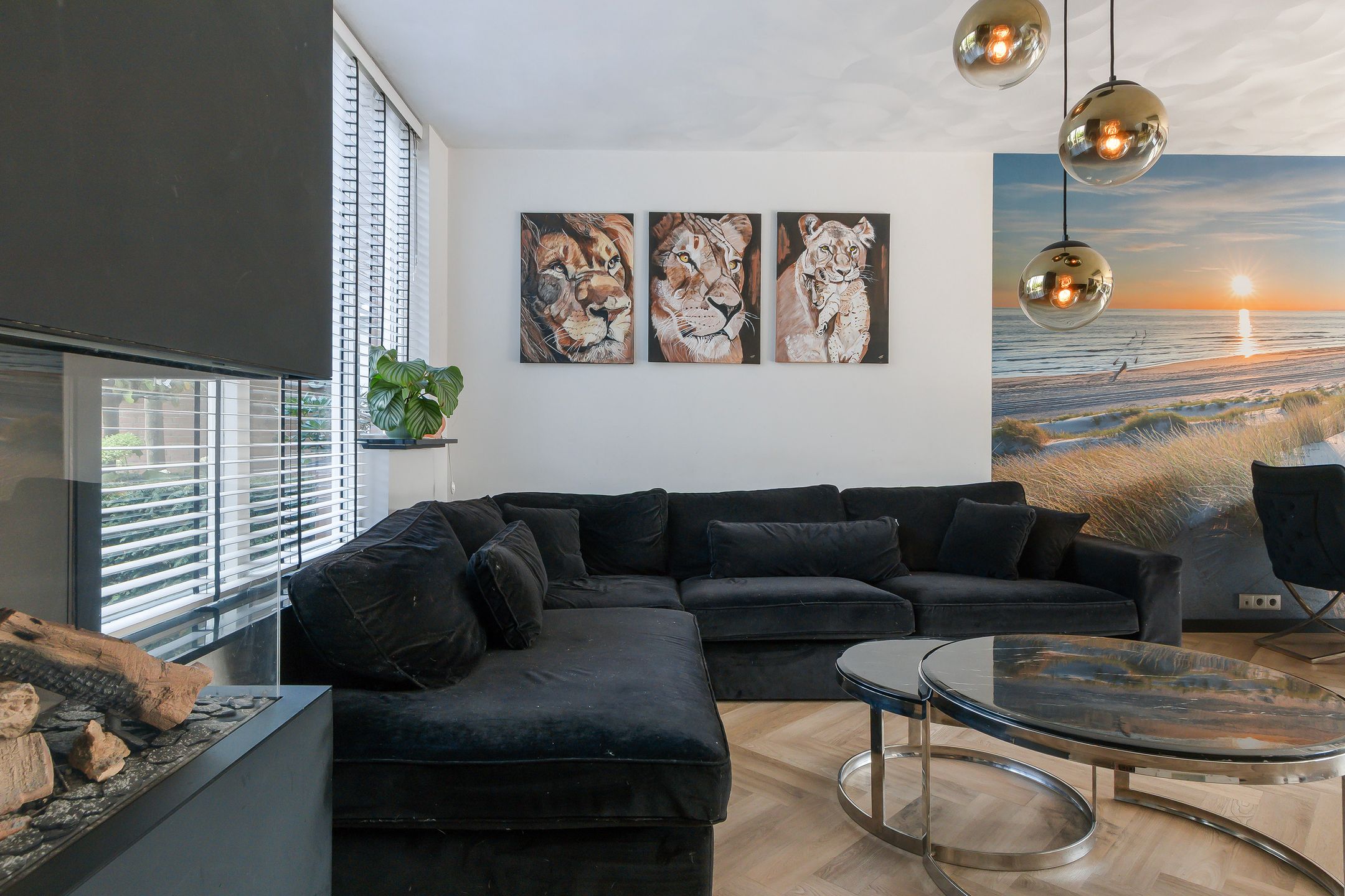 Foto 9 van Lunenburg 36