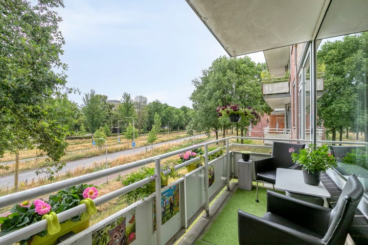 Foto 23 van Predikherenlaan 243