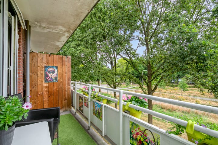 Foto 24 van Predikherenlaan 243